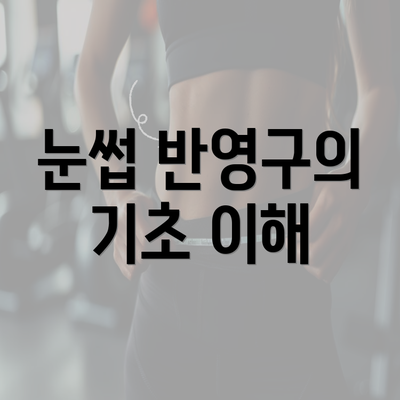 눈썹 반영구의 기초 이해