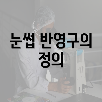 눈썹 반영구의 정의