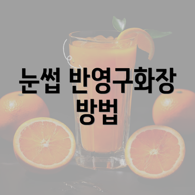 눈썹 반영구화장 방법