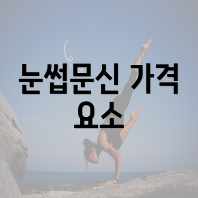 눈썹문신 가격 요소