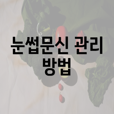 눈썹문신 관리 방법