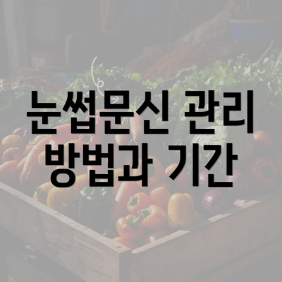 눈썹문신 관리 방법과 기간