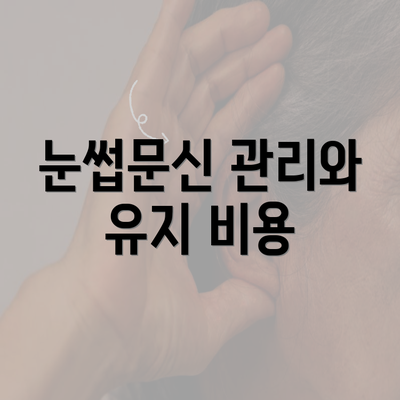 눈썹문신 관리와 유지 비용