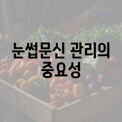 눈썹문신 관리의 중요성