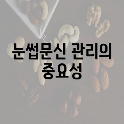 눈썹문신 관리의 중요성