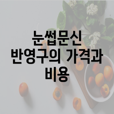 눈썹문신 반영구의 가격과 비용