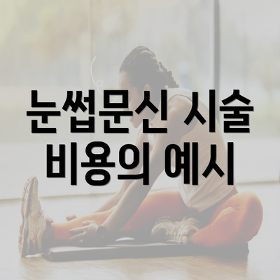 눈썹문신 시술 비용의 예시