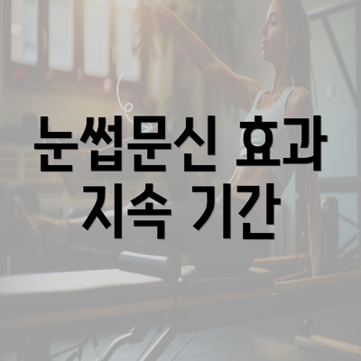 눈썹문신 효과 지속 기간