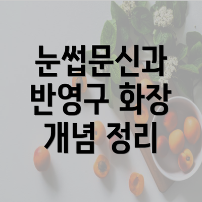 눈썹문신과 반영구 화장 개념 정리