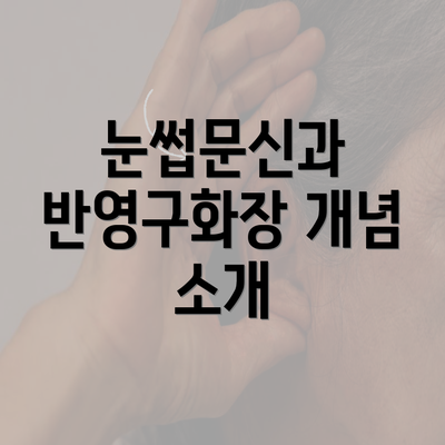 눈썹문신과 반영구화장 개념 소개