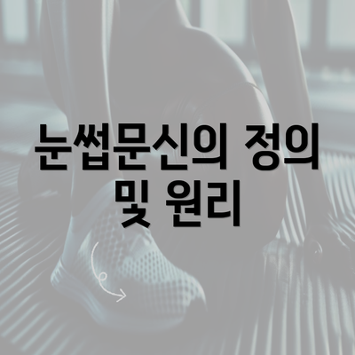 눈썹문신의 정의 및 원리