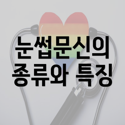 눈썹문신의 종류와 특징