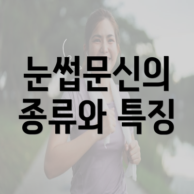 눈썹문신의 종류와 특징