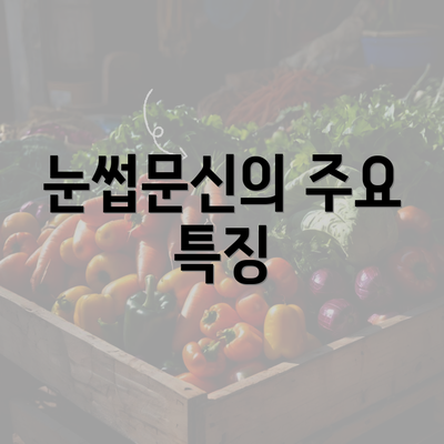 눈썹문신의 주요 특징