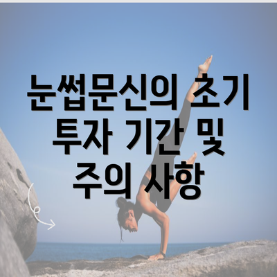 눈썹문신의 초기 투자 기간 및 주의 사항