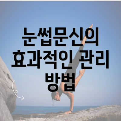 눈썹문신의 효과적인 관리 방법