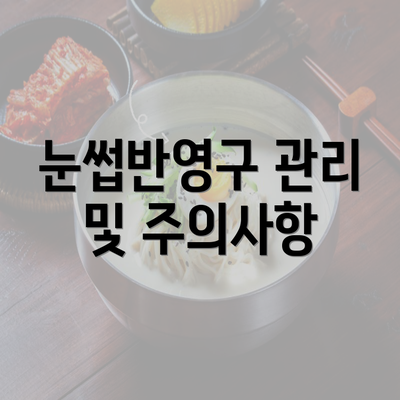 눈썹반영구 관리 및 주의사항