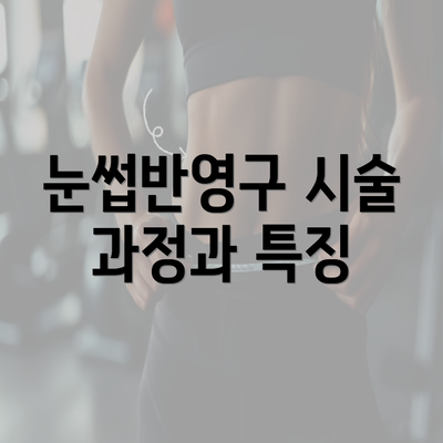 눈썹반영구 시술 과정과 특징