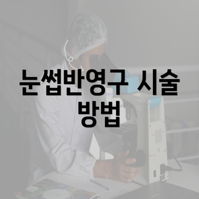 눈썹반영구 시술 방법