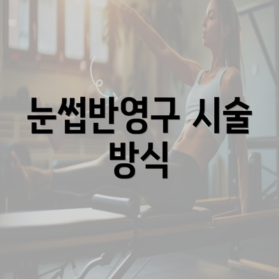 눈썹반영구 시술 방식