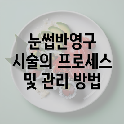 눈썹반영구 시술의 프로세스 및 관리 방법