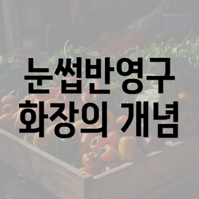 눈썹반영구 화장의 개념