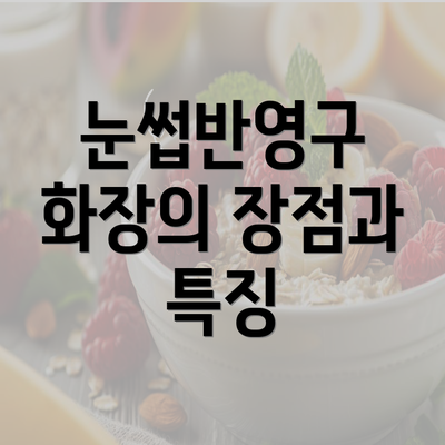 눈썹반영구 화장의 장점과 특징