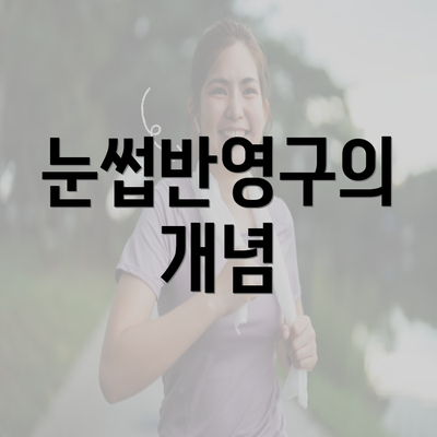 눈썹반영구의 개념