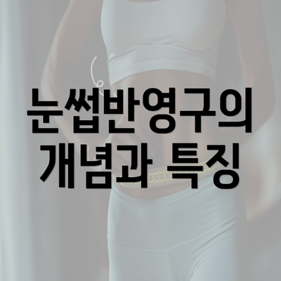 눈썹반영구의 개념과 특징