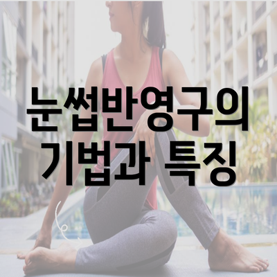 눈썹반영구의 기법과 특징