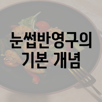 눈썹반영구의 기본 개념