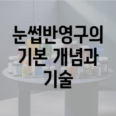 눈썹반영구의 기본 개념과 기술