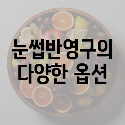 눈썹반영구의 다양한 옵션