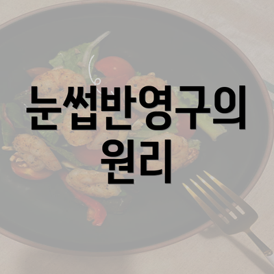 눈썹반영구의 원리