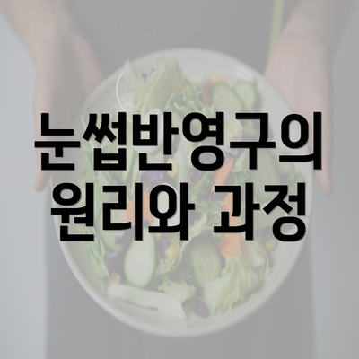 눈썹반영구의 원리와 과정