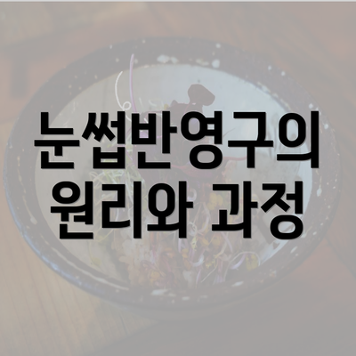 눈썹반영구의 원리와 과정