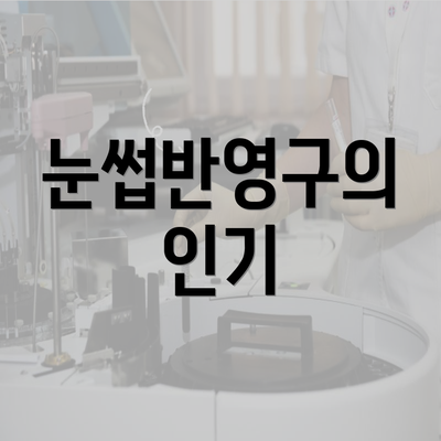 눈썹반영구의 인기