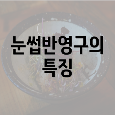 눈썹반영구의 특징