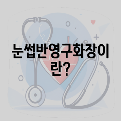 눈썹반영구화장이란?