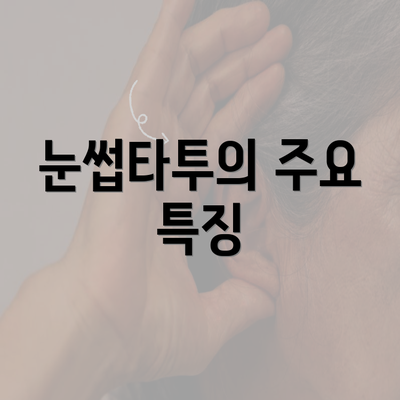 눈썹타투의 주요 특징