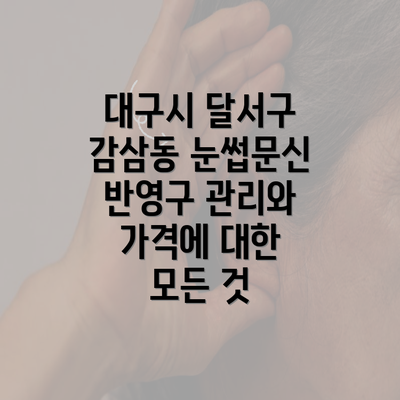 대구시 달서구 감삼동 눈썹문신 반영구 관리와 가격에 대한 모든 것