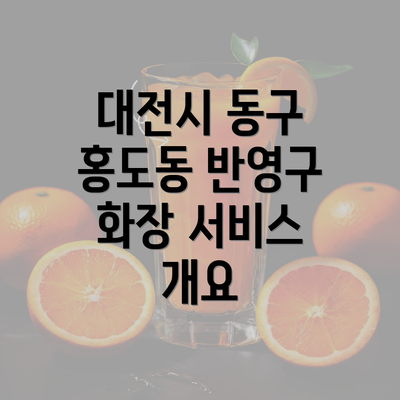 대전시 동구 홍도동 반영구 화장 서비스 개요