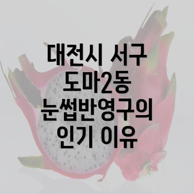 대전시 서구 도마2동 눈썹반영구의 인기 이유