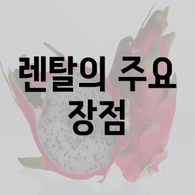 렌탈의 주요 장점