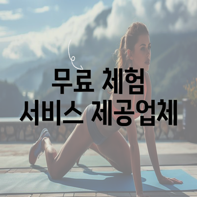 무료 체험 서비스 제공업체