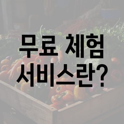 무료 체험 서비스란?