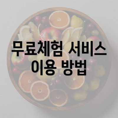 무료체험 서비스 이용 방법