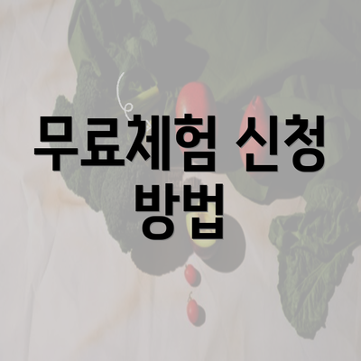 무료체험 신청 방법