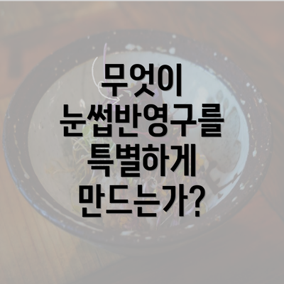 무엇이 눈썹반영구를 특별하게 만드는가?