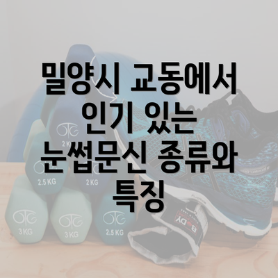 밀양시 교동에서 인기 있는 눈썹문신 종류와 특징